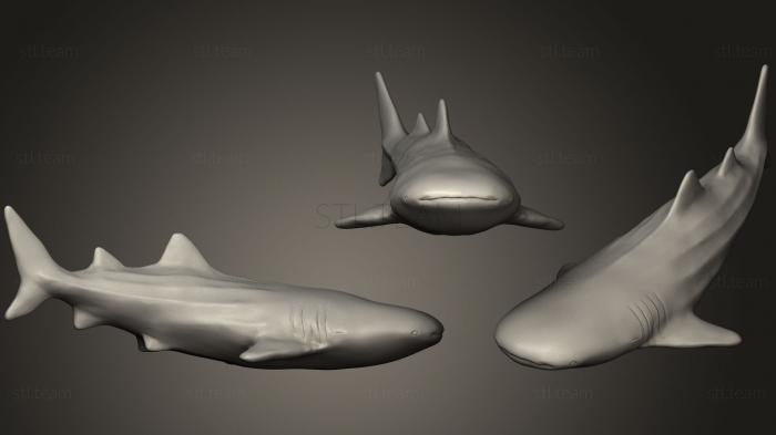 3D model Whaleshark (STL)